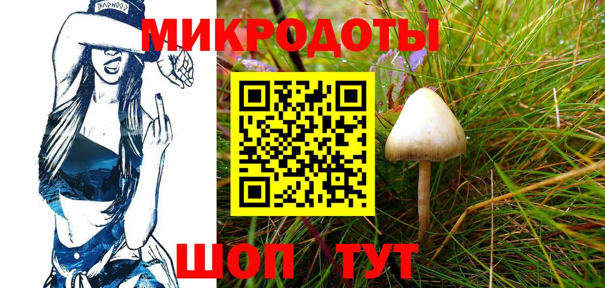 Псилоцибиновые грибы Magic Shrooms Владивосток